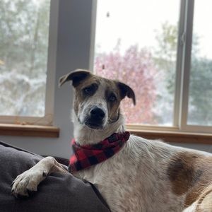 Meet your Posher, Tammy